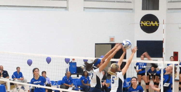 Volleyball: Bentley at&nbsp;SCSU