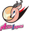 antelopes