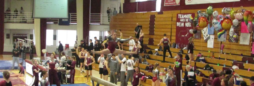 Gymnastics: Springfield sets new team record, RIC posts&nbsp;179.3