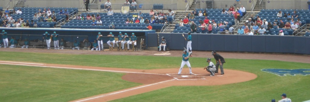 5/16 Bluefish top&nbsp;Riversharks