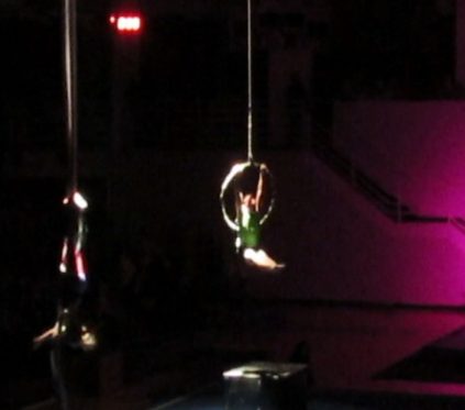 Springfield College Gymnastics&nbsp;Homeshow