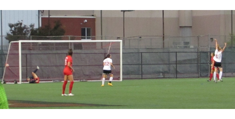 Soccer: Hartford tops Stony Brook&nbsp;1-0