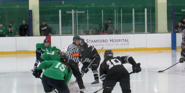 NWHL Hockey: Whale 8, Whitecaps&nbsp;4