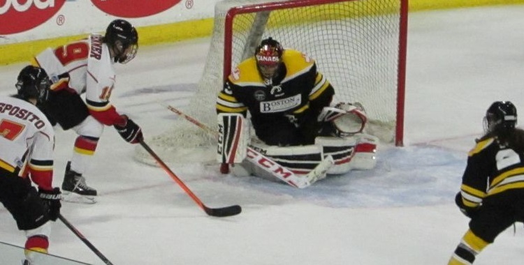 Hockey: Calgary Inferno v. Boston&nbsp;Blades