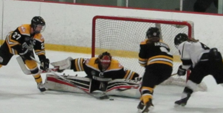 CWHL Hockey: Brampton Thunder at Boston Blades 11/15/15