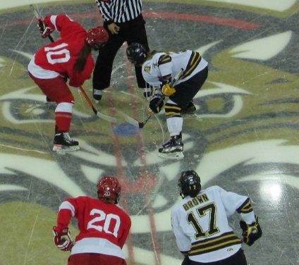 Videos & Photos: Quinnipiac v.&nbsp;Cornell