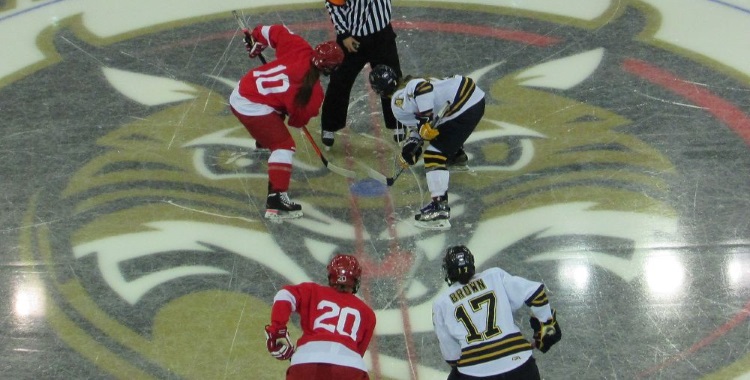 Videos & Photos: Quinnipiac v.&nbsp;Cornell