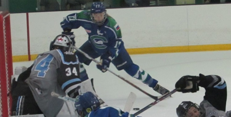 Whale v. Beauts&nbsp;1-10-16