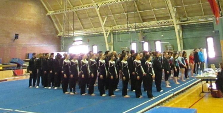 NAIGC Gymnastics: MIT&nbsp;Invitational