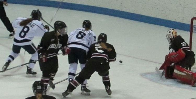 Videos  & Photos: Yale v. Brown Hockey&nbsp;1/29