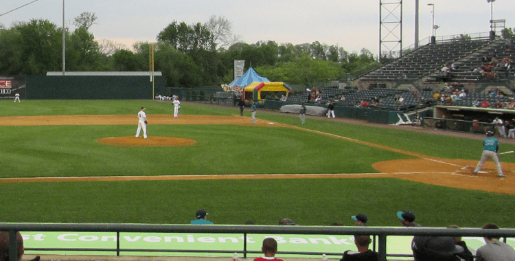 Bees top Bluefish&nbsp;5-2