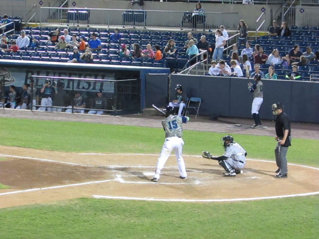Bluefish Take Game 2, Defeat Bees&nbsp;5-4