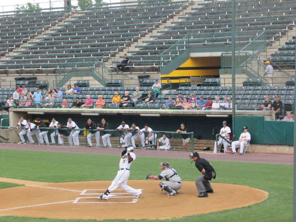 Bees defeat Patriots&nbsp;5-3