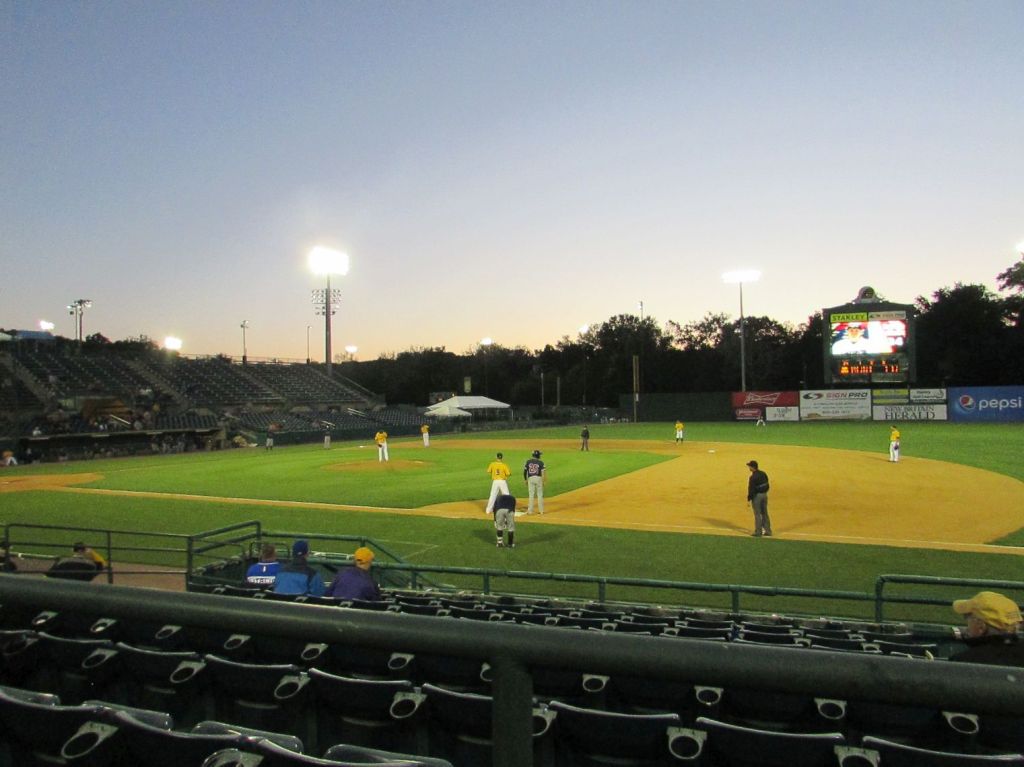 Bees fall to Somerset&nbsp;5-3