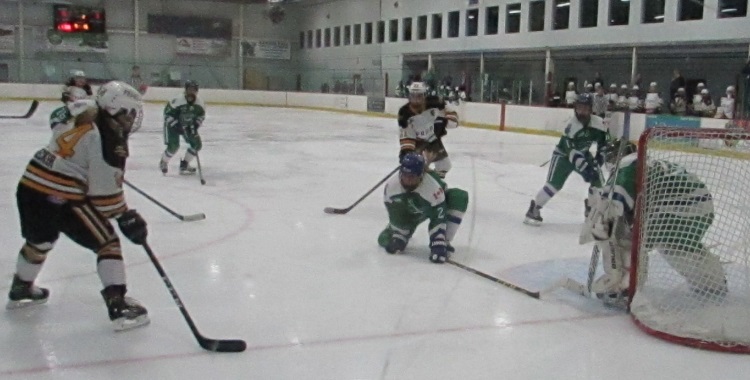 Hockey: Boston Pride at Connecticut&nbsp;Whale