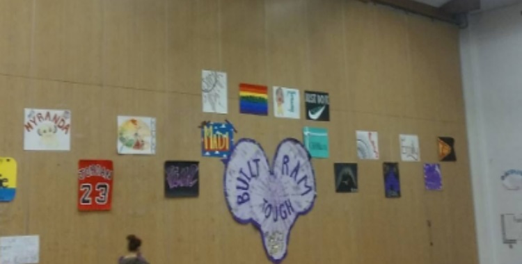 WCU Gymnastics Rising: Part&nbsp;1