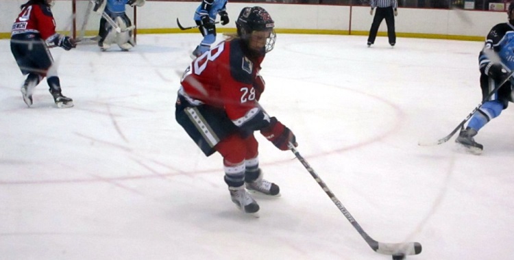 Free Thoughts on the NWHL Jersey/Shirsey Top&nbsp;Ten
