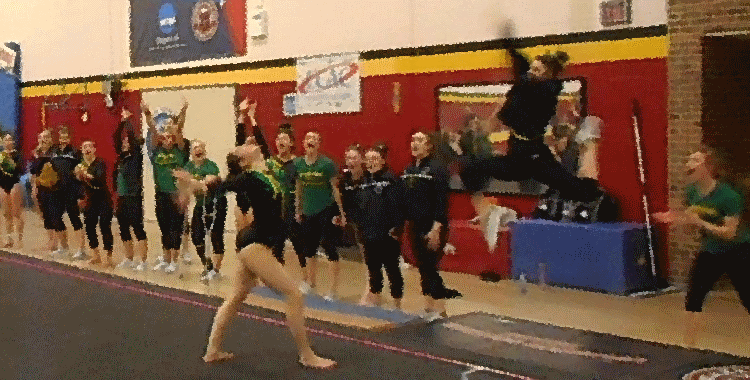 Brockport Gymnastics: The&nbsp;Seniors