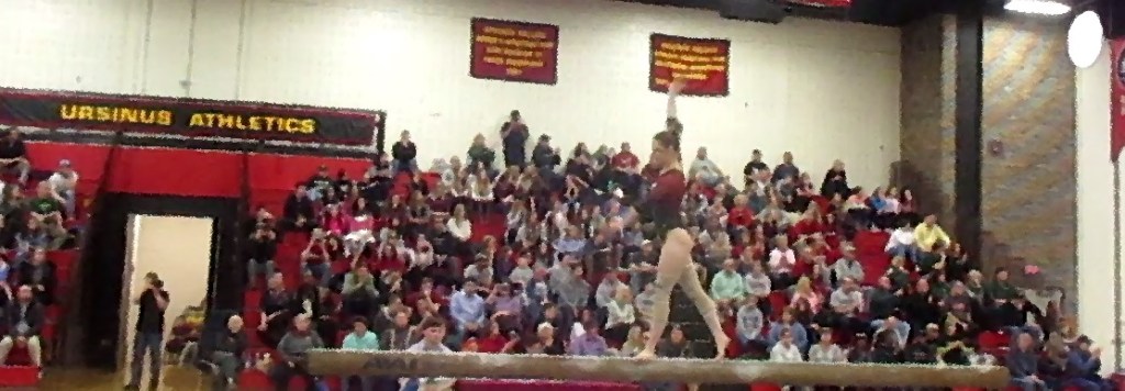 Ursinus Gymnastics: The&nbsp;Seniors