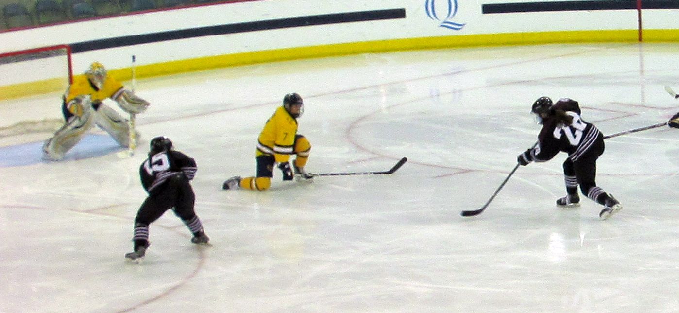 11UNGoal3