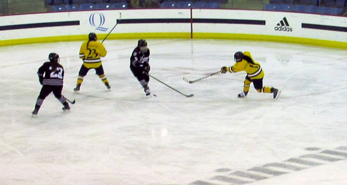 6QUGoal4