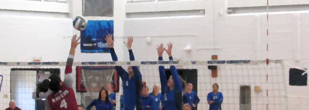 SCSU Owns Senior Day, Drops FPU&nbsp;3-0