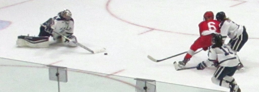 Yale Improves, But Cornell&nbsp;Prevails