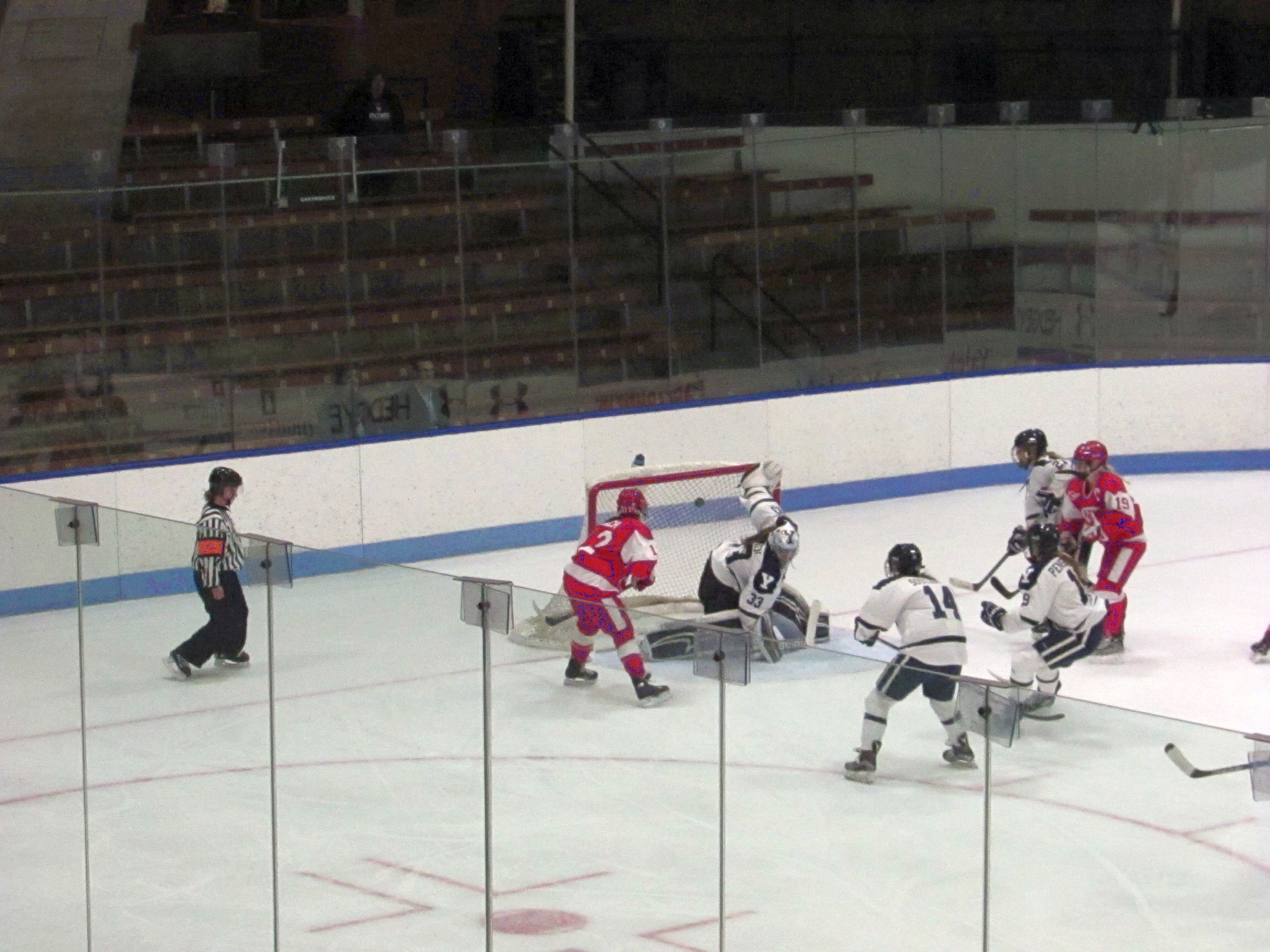 BUGoal2