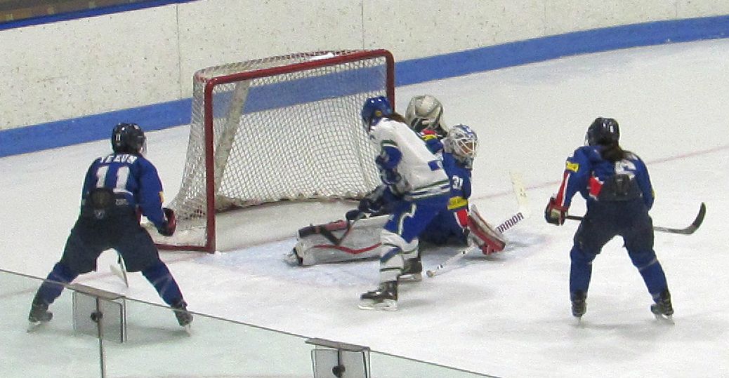 WhaleGoal1