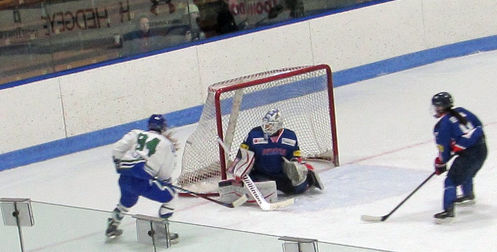 WhaleGoal4