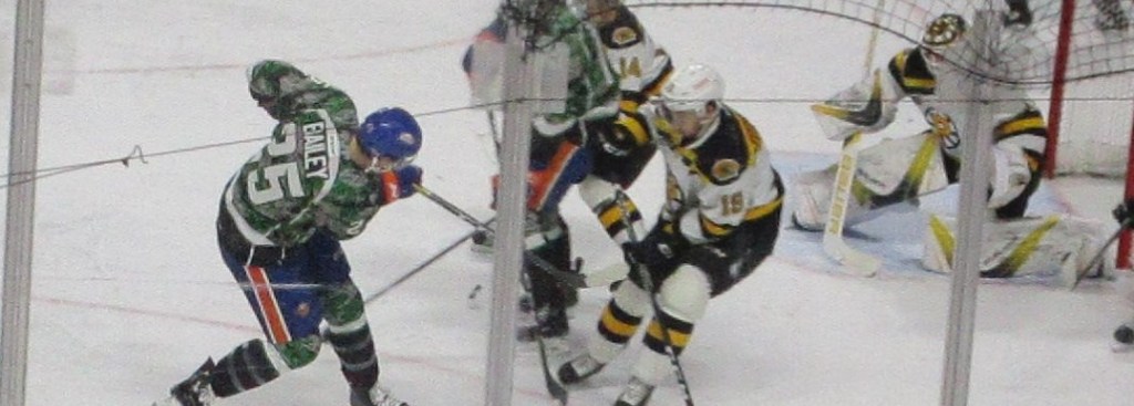 Sound Tigers v. P-Bruins&nbsp;Photos