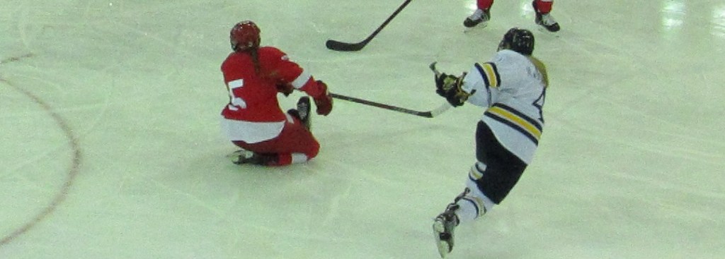 Quinnipiac Blanks #5 Cornell&nbsp;4-0