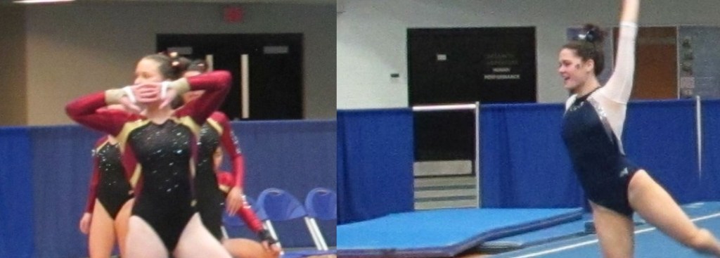 SCSU Gymnastics faces RIC on Senior&nbsp;Day