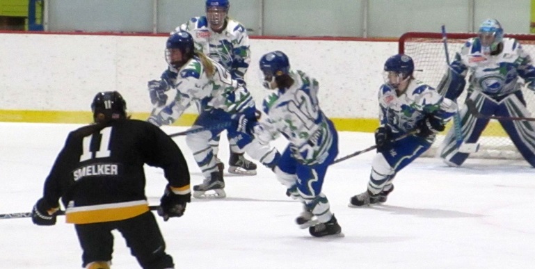 NWHL Fan Feedback:&nbsp;Positives