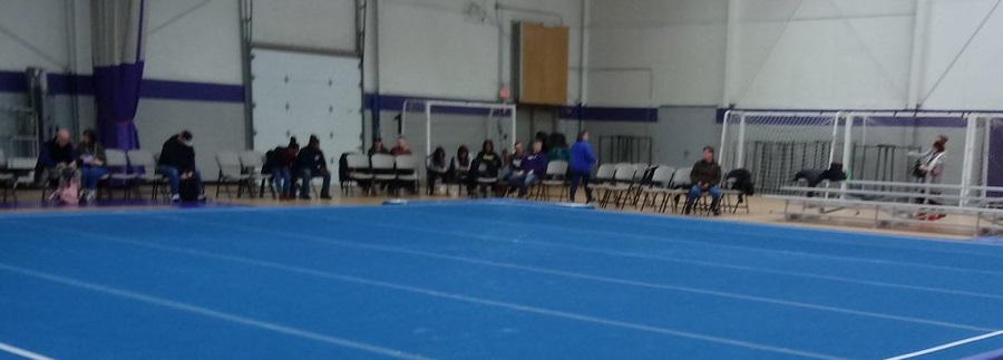 ECAC Division 2 Gymnastics Championships (with&nbsp;Video)