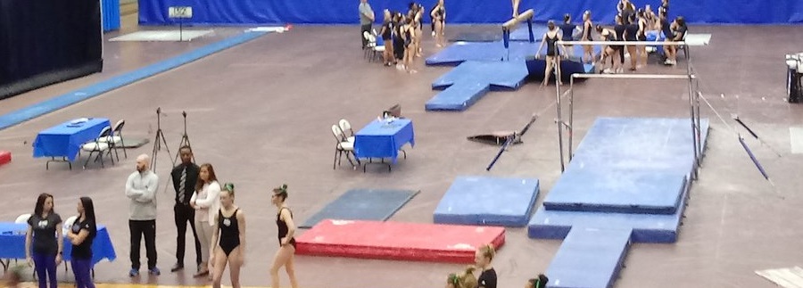 SCSU v. Bridgeport Gymnastics (With&nbsp;Video)
